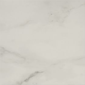 carrara white polished 59.3x59.3cm